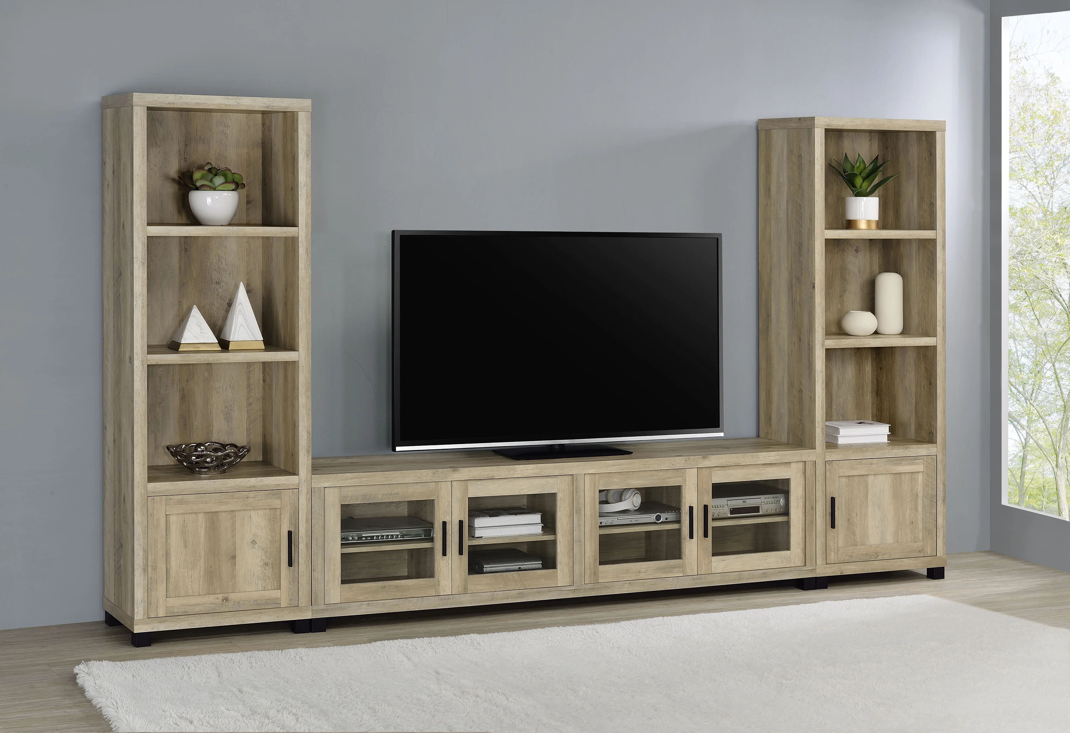 Sachin - TV Entertainment Center