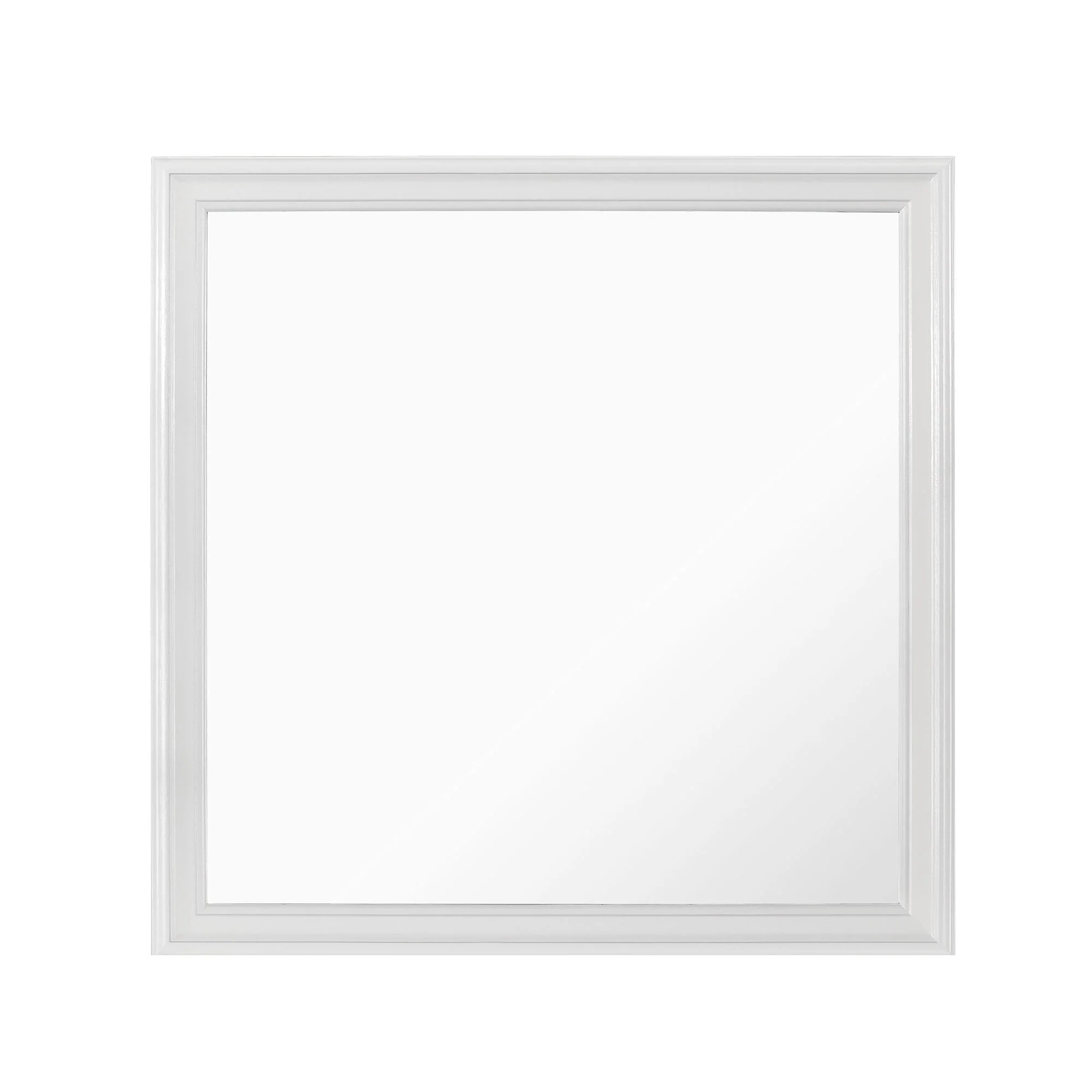 Shaker - Crocodile Metallic Mirror